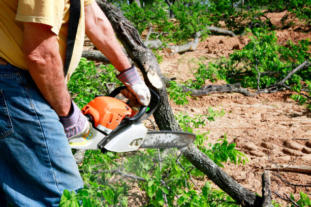 Lawn Maintenance Plans in Nanakuli, HI